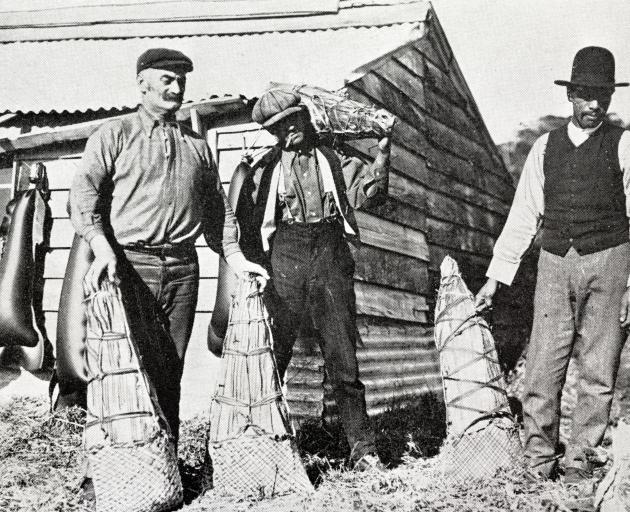 This photograph, taken in 1910, on Tia Island, one of the titi (muttonbird) ...
