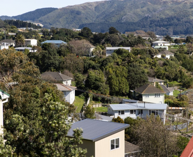 Dylan and his friend are having to cut their losses after purchasing a home in Porirua in 2021....