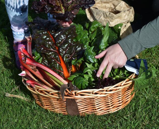 Shelley Harris and her daughter Tayla Mokotupu with a basket of fresh vegetables harvested from...