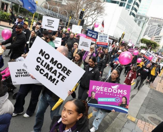 Protesters take part in the march to Parliament. Photo: RNZ