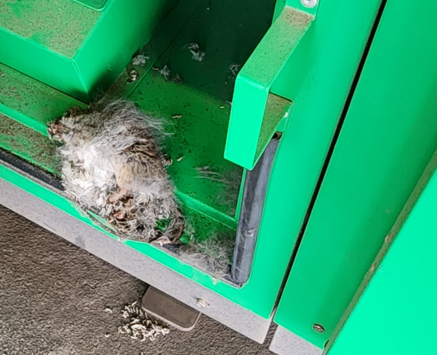 A dead rodent decomposing on a piece of machinery. Photos: Supplied