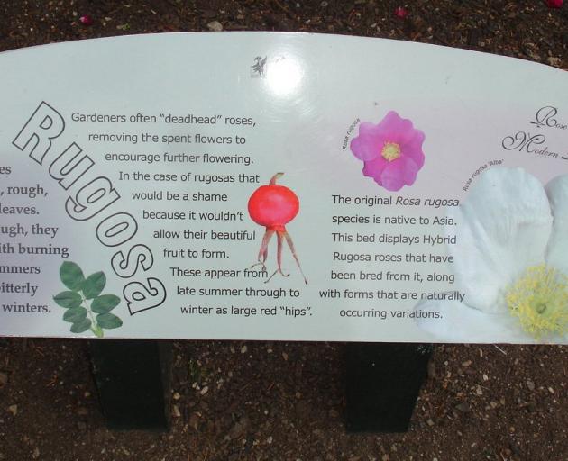 One of the many plant signs around Dunedin Botanic Garden.PHOTOS: SUPPLIED