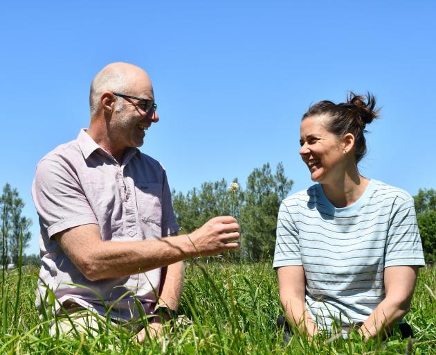 Dylan and Sheree Ditchfield in their multi-species permanent pasture, sown 12 months ago. 
