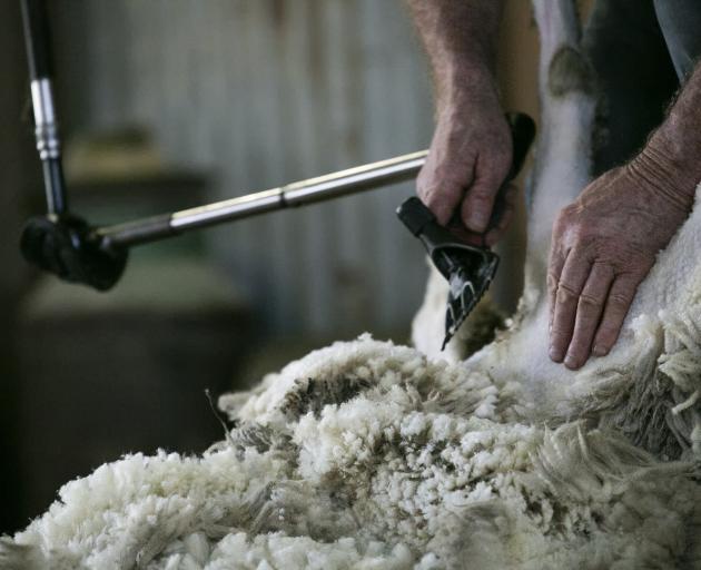 Australia provides about 90% of the world's exported fine wool used in clothing manufacturing. Photo: Getty Images 