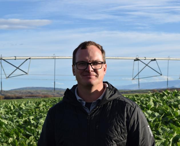 Carrfields pastoral agronomist Huw Murray, of Cromwell, stands in a kale crop in a pivot block at...