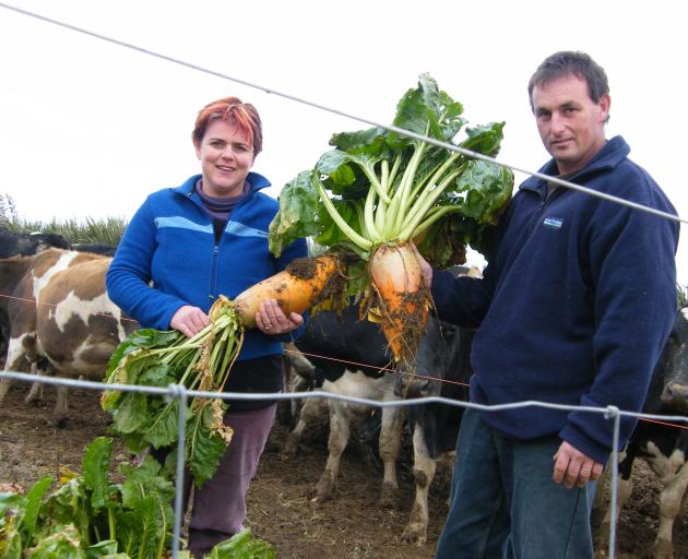 Dairy farmers Cathie and Phillip Cotter display fodder beet they grew in Woodlands in 2008. PHOTO...