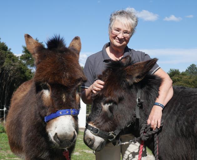 Pim Allen with her two donkeys Hoti (left) and Travis. PHOTO: JESSICA WILSON
