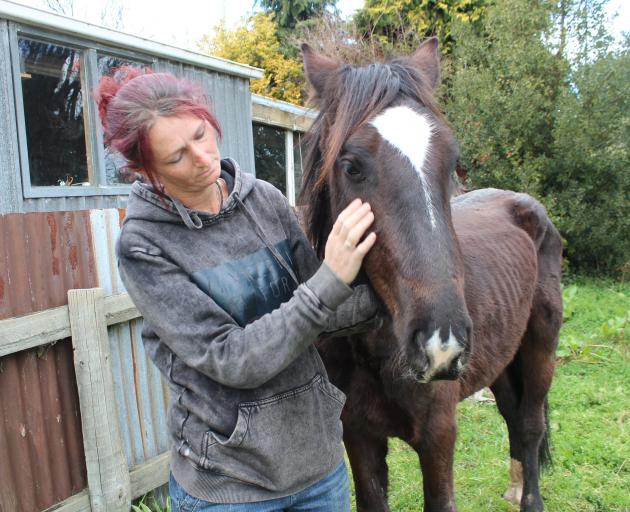 Laura King could not leave wild horse Comet behind when she found him in the back hills of...