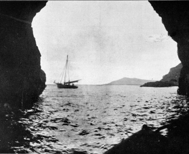 The "cavern of death'' on the Auckland Islands, in which the General Grant was wrecked and sunk....