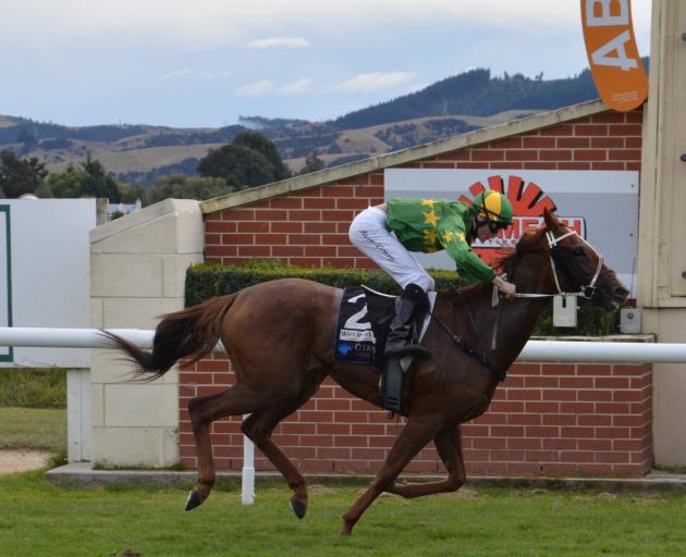 Coulee is one of several horses to have provided Hay with success on the race track. Photos by...