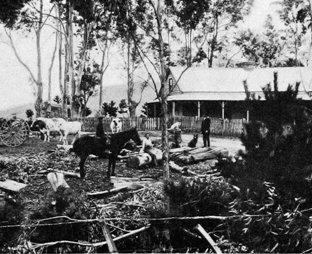 A farmyard scene in South Canterbury - on Mr Wilkinson's property at Geraldine. - Otago Witness, 2.8.1916.