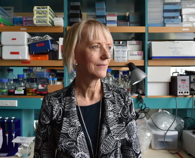 University of Otago department of pathology human papillomavirus researcher Merilyn Hibma at the University of Otago this week. Photo by Gregor Richardson.