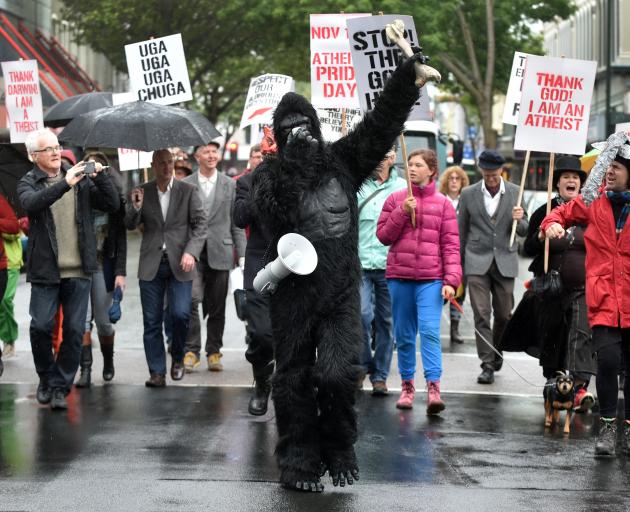 Artist Craig Hilton leads the Atheist Pride March as his alter-ego, Sahelanthropus the ape, in Dunedin yesterday. Photo by Peter McIntosh.