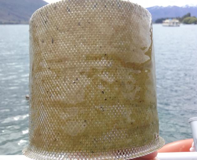 Lake snow clogged a water filter on Fish and Cruise Lake Wanaka owner operator Alan Baxter's boat after just one hour on Lake Wanaka earlier this week. Photo by Alan Baxter.