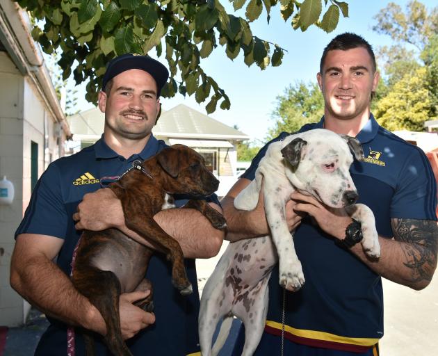 Highlanders prop Craig Millar (left), with Dobby, a Stafford, and loose forward Liam Squire, with...