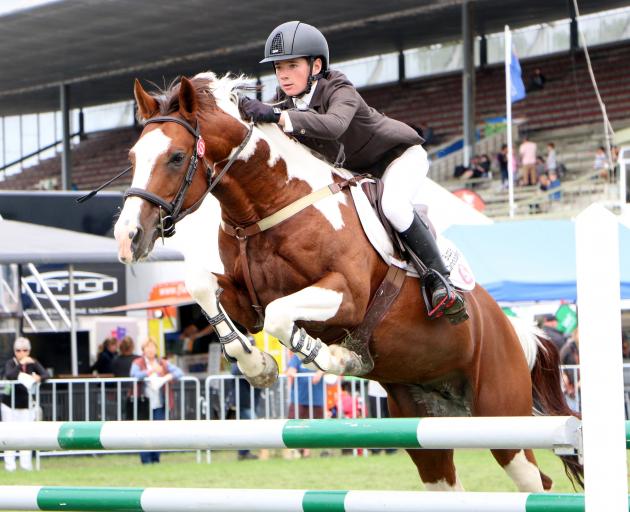 John McGlashan College pupil Noah Coutts (13), of Mosgiel, rides at the Horse of the Year Show in Hastings. Photo by Ellen Davis.