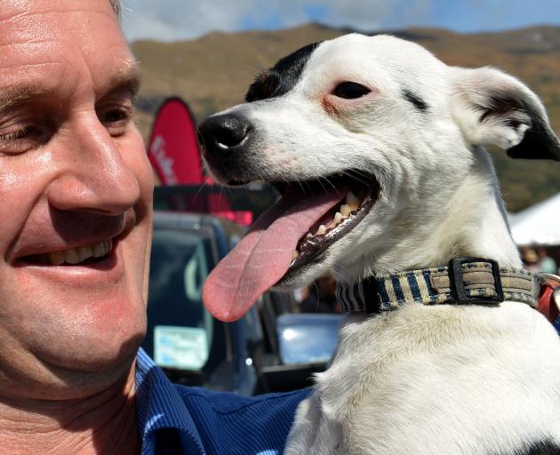 Jack Russells will still be allowed into the show grounds for the popular Jack Russell Race at 12.30pm on Saturday. Daniel Bogue is pictured with his winning dog Stella after the race at the 2014 Wanaka show. Photo by Stephen Jaquiery.