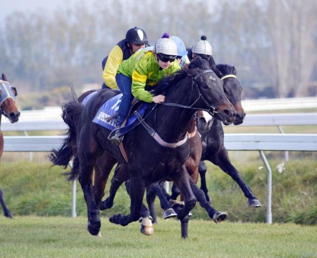 Galella and Courtney Barnes finish too powerfully for their rivals in the open heat of jumpouts...