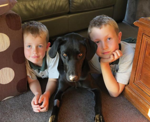 The Campbell family, of Springvale,  are delighted  one of their dogs, Skye, has returned home...
