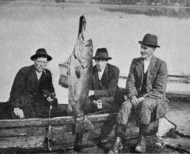 An exceptional catch at Pounawea: A 41lb (19kg) groper caught on a light cod line by an...