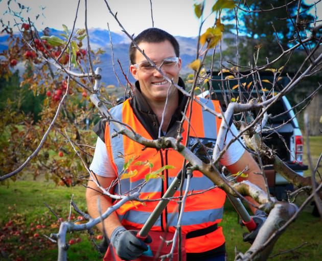 Ben Geaney won the pruning section on his way to taking the title. Photo: Supplied