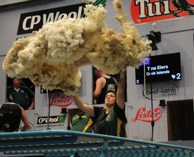 Tina Elers throws a fleece in the World Shearing and Woolhandling Championships team woolhandling final  this year. Photo: Nicole Sharp