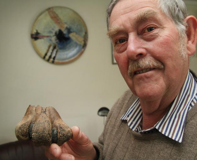 David Harrowfield, of Oamaru, holds a moa leg bone, believed to be about 650 years old, which he...