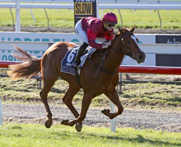 Prom Queen and Alysha Collett win at Riccarton 7 May 2017. Photo: Race Images Christchurch.