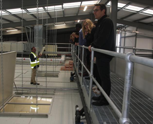Whitestone Cheese chief executive Simon Berry, standing on top of the maturation rooms in...