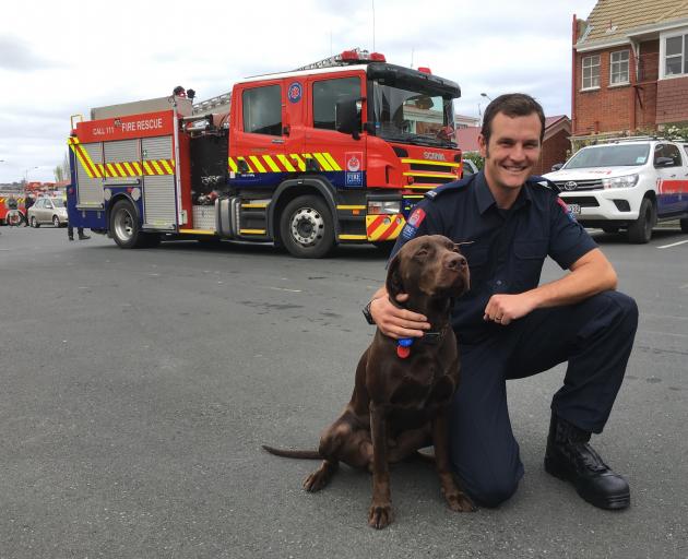 Firefighter Joe Begley with vizsla-cross dog Walter at Dunedin City Station. PHOTO: SHAWN MCAVINUE