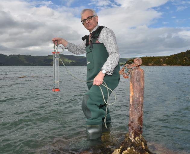 University of Otago Portobello Marine Laboratory manager Doug Mackie checks water temperature at Portobello. Photo: Gregor Richardson