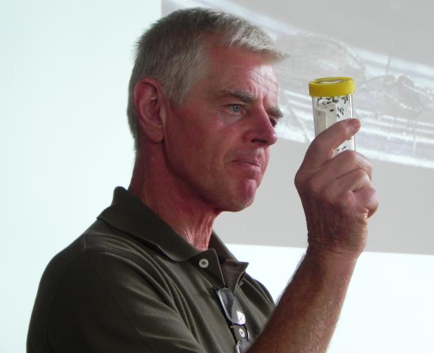 AgResearch scientist and pasture entomologist Colin Ferguson, of Invermay, says a warmer climate, even by a couple of degrees, is likely to mean more pests moving from the north to our region. Photo: SRL Archives