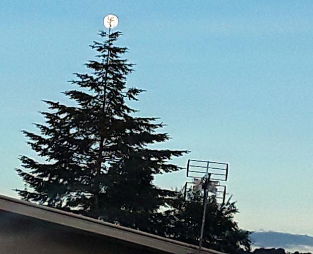 Perfect timing on Saturday night. The moon adorns the top of a Northeast Valley Christmas tree for just a few seconds before carrying on its way. Photos: Supplied