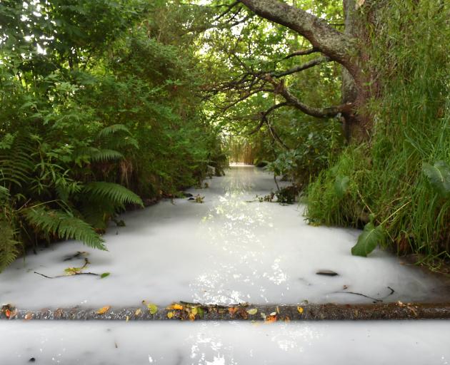 Photo: Gregor Richardson