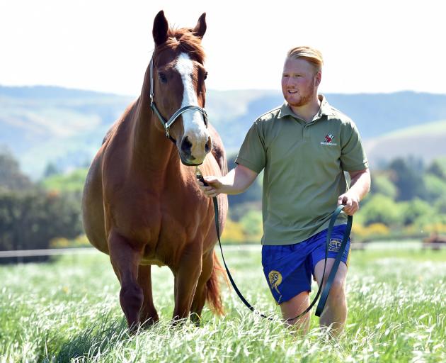 Jack Stewart at White Robe Lodge with broodmare Ears Carol when she was carrying a colt by...