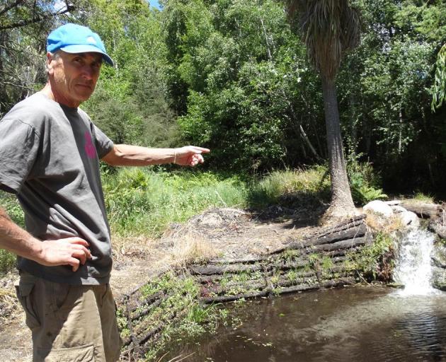 Wanaka Residents Association president Roger Gardiner points to Bullock Creek wetlands Punga Pond...