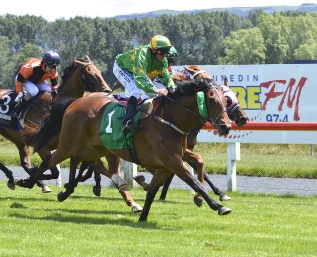 Patrick Erin and Chris Johnson charge past Flag The Groom, Motorboat Mike and Dee And Gee at Wingatui yesterday to cement his favouritism for the Wellington Cup. Photo: Jonny Turner