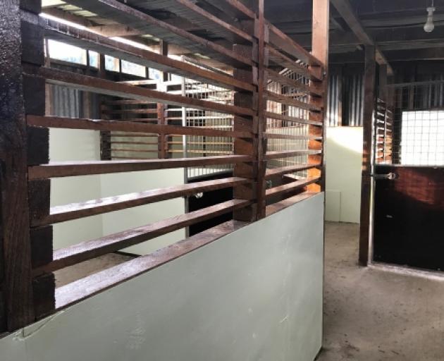 A growing number of deer farmers are upgrading their sheds so velvet is harvested, handled and stored in a clean environment. Photo: Supplied