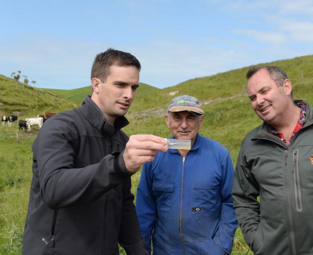 hitestone Cheese head cheese-maker Chris Moran, Ardgowan farmer Allister Calder and Whitestone chief executive Simon Berry check one of the samples they took from an old water race on a Ardgowan farm for Penicillium roqueforti. Photo: Linda Robertson