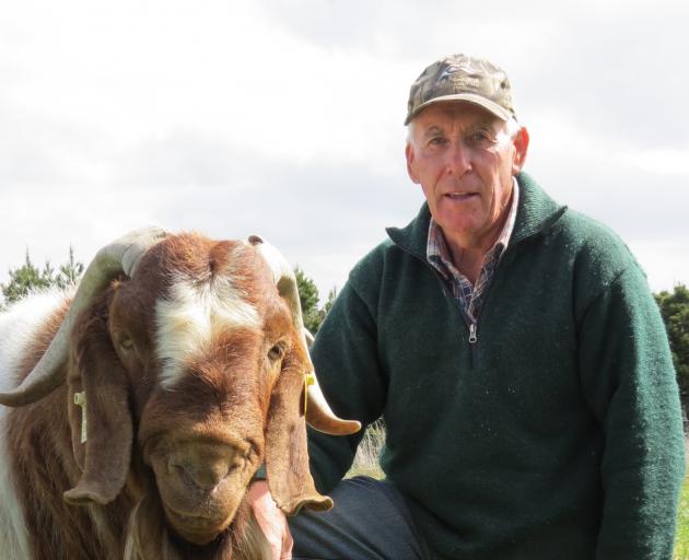 Milton Boer goat breeder and farmer Owen Booth, of Milton, recently hosted Argentinian stock importer/exporter Luis Balfour on his farm. Photos: SRL archives