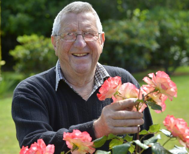 Retired trainer Hec Anderton enjoys  time in his Wingatui garden. Photo: Gerard O'Brien