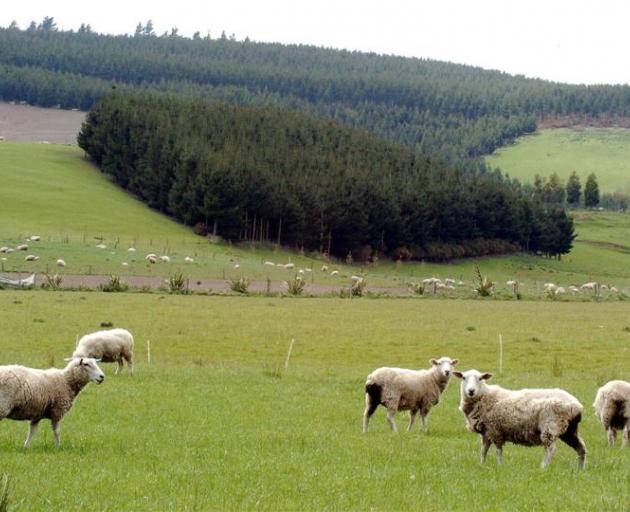 Livestock farmers are being told to look at the emissions trading scheme as an opportunity, not a...