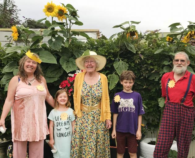 The McMullan family in Dunedin's Northeast Valley had a "great sunflower race'' , which began with New World mini-garden seeds before Christmas. Each family member had a two-tyre stack filled with potting mix, and four pots, for their entry. Great-grandmo