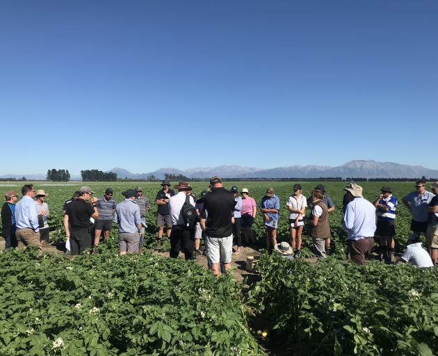 Award wining agronomist John Sarup talks to potato growers in Lauriston during one of three workshops, hosted throughout Canterbury. Photo: Supplied