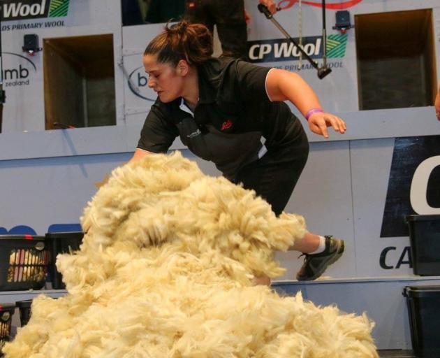 Cheri Peterson, who had her first Open-class woolhandling win on Friday at the Southern Shears in Gore, pictured at an earlier event. Photo / Barbara Newton Cheri Peterson, who had her first Open-class woolhandling win on Friday at the Southern Shears in Gore, pictured at an earlier event. Photo / Barbara Newton