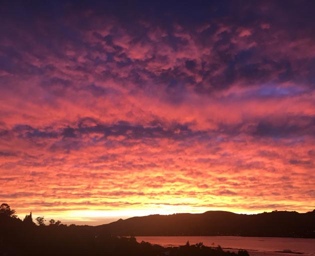 The sunrise this morning seen over Otago Harbour. Photo Alison Crossan 