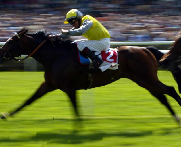 BoneCrusher ridden by Pat Eddery wins the Bonusprint Stakes. Photo: Getty Images