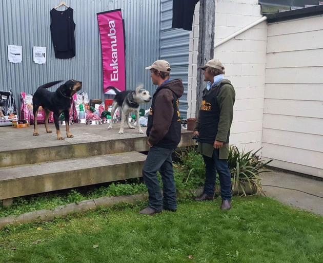 The Mackenzie Young Farmers Bark Up returned to the town last weekend, attended by dozens of dogs and their masters, including (from left) Georgina Jackson with Bruce, Luke Morrison with Ted, and Tom Penn with Pal. Photo: Supplied