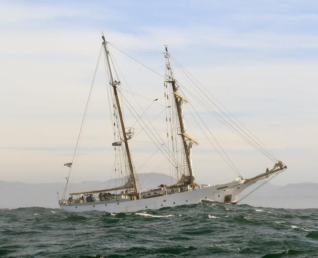 The SSV Robert C. Seamans, one of two tall ship research vessels operated by Sea Education Association motors from Otago Harbour. Photo: Stephen Jaquiery