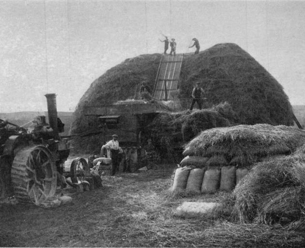 A threshing mill hard at work on a good crop in Otago in early autumn. - Otago Witness, 20.3.1918. 